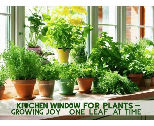 Kitchen Window for Plants—Growing Joy One Leaf at a Time