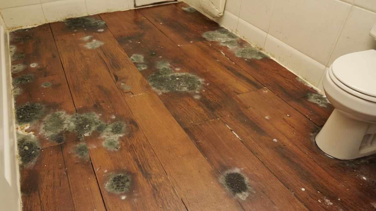 Flooring That Hates Water: Avoid These in Bathrooms